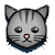 catgrey