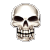 skull